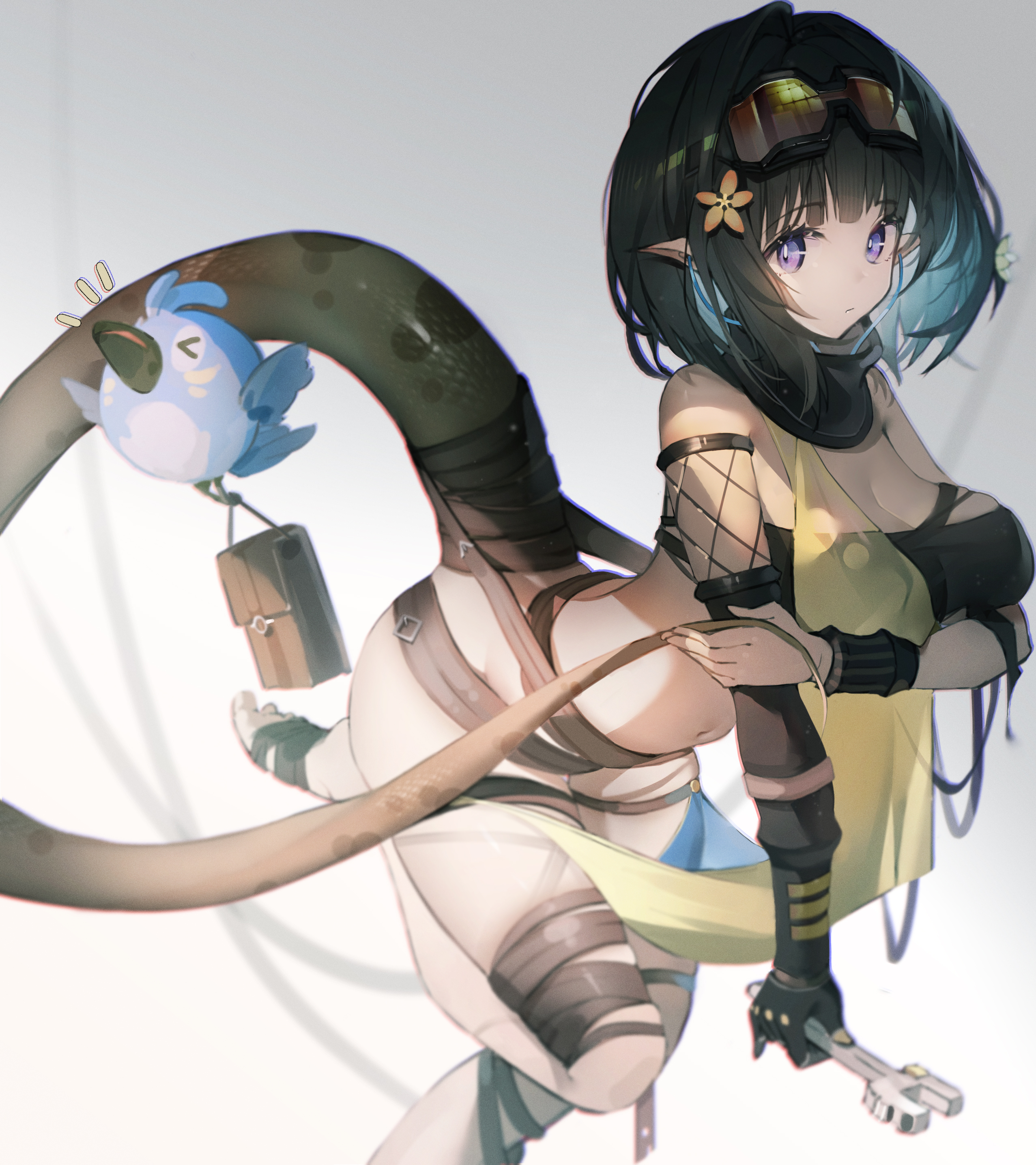 森蚺