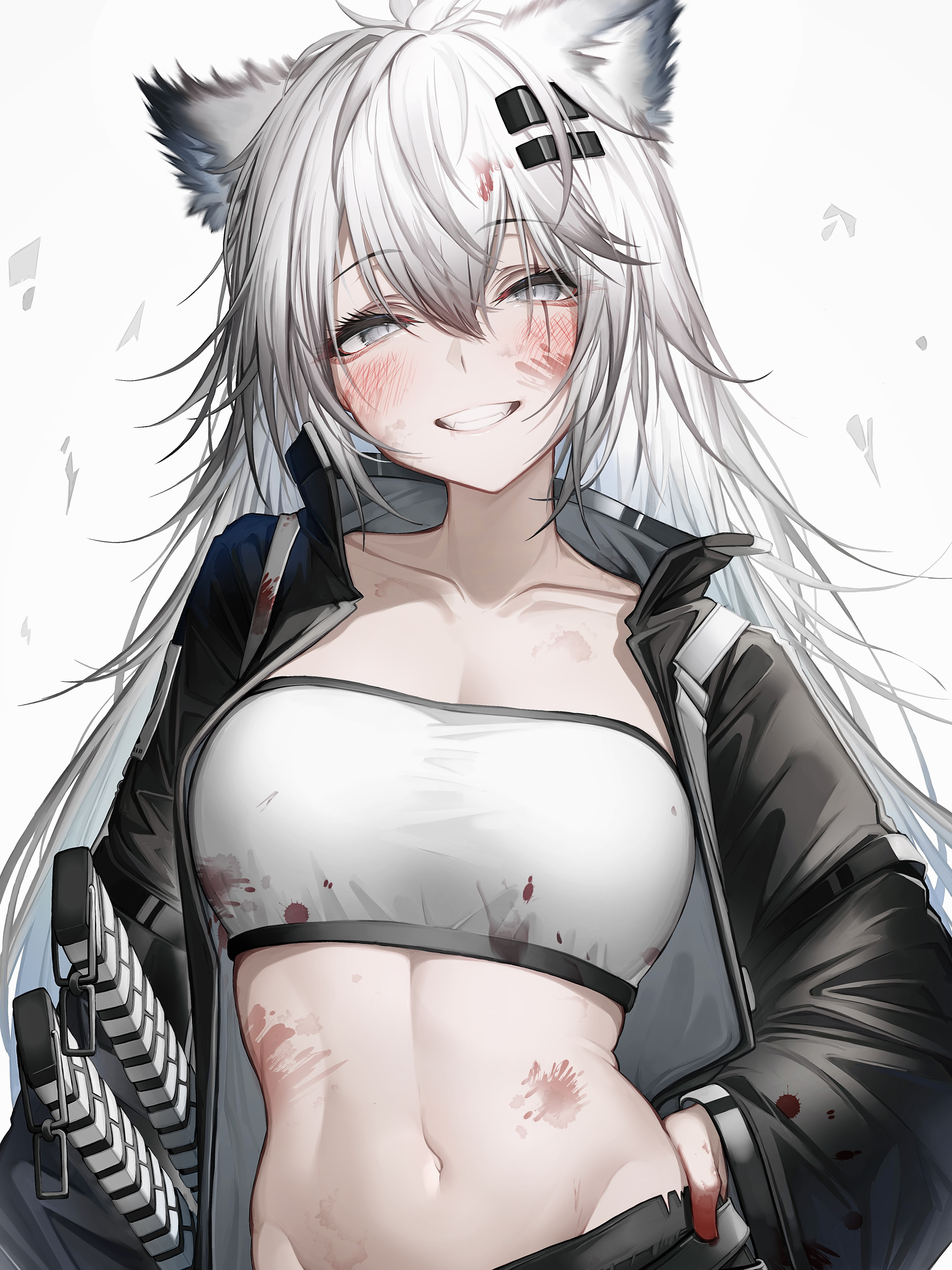 ラップランド