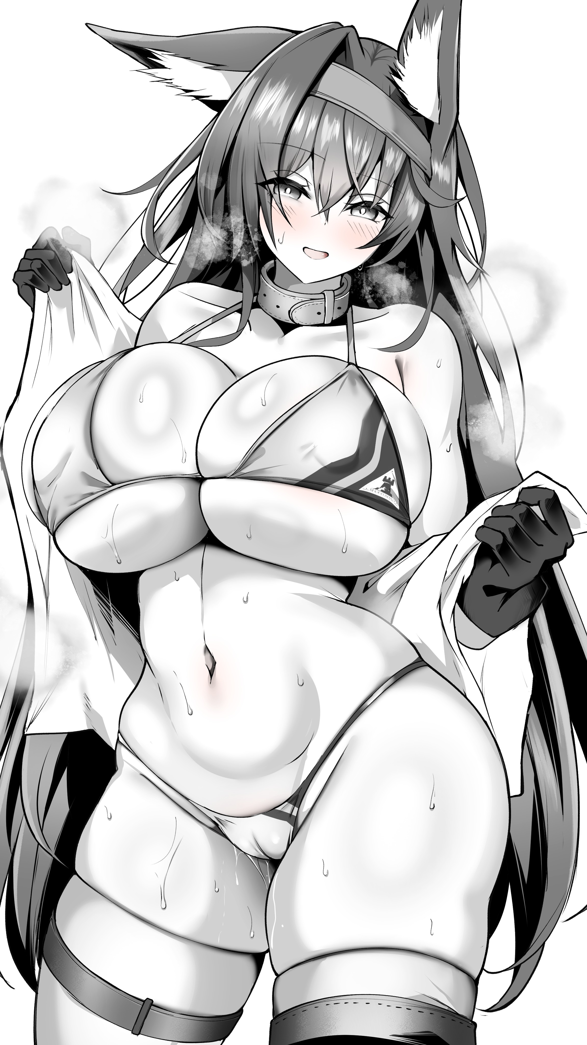 発情ブレイズ